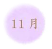 11月